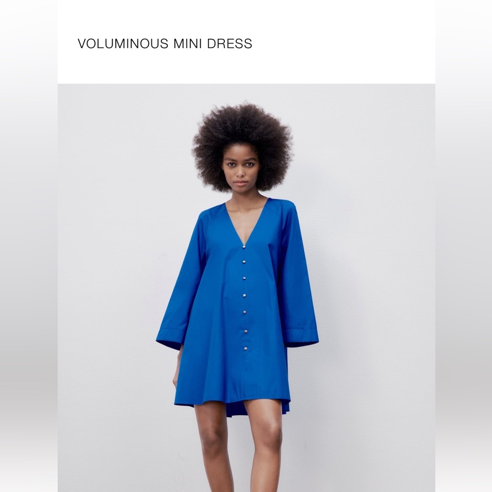 Cute flowy Zara dress. Worn once